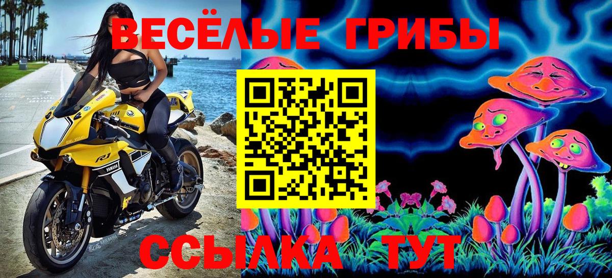 Новокуйбышевск  как найти закладки  Вход с VPN  Галлюциногенные грибы Magic Shrooms 