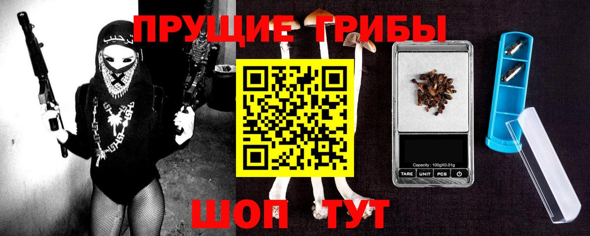 Псилоцибиновые грибы Cubensis Новокуйбышевск